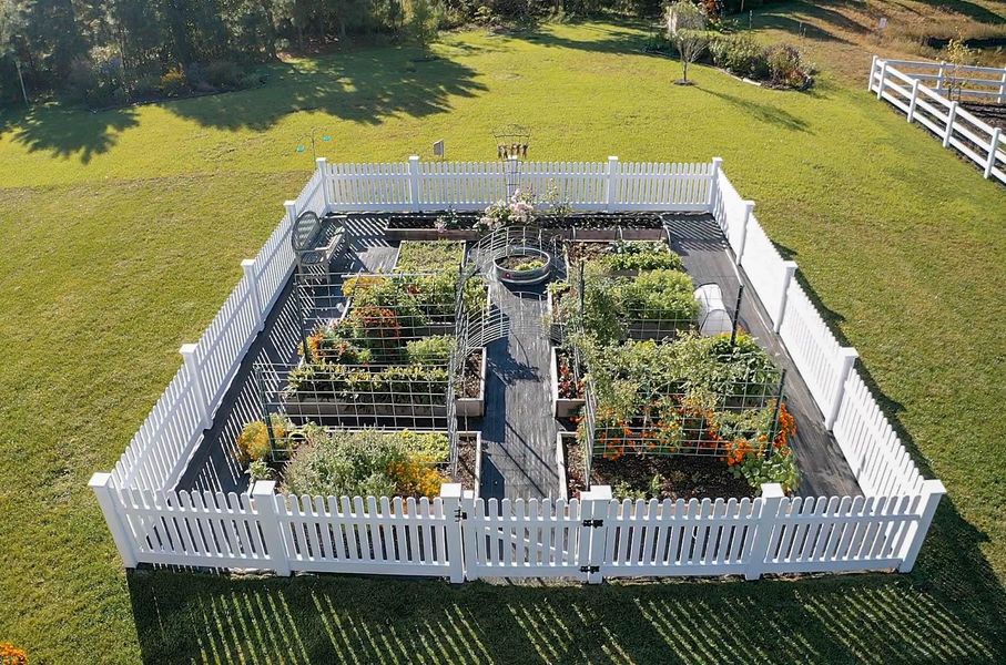 fenced%in%garden%and%gate